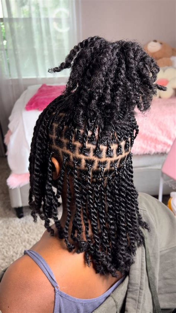 2 Strand Twist Styles for Natural Hair: A Comprehensive Guide