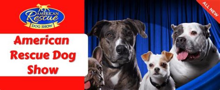 American Rescue Dog Show: Celebrating the Heroes of the Canine World