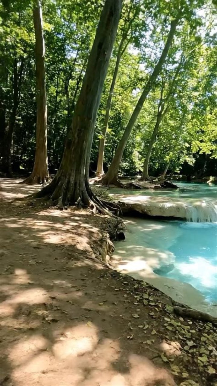 Auzi&egrave;re: A Hidden Gem in France