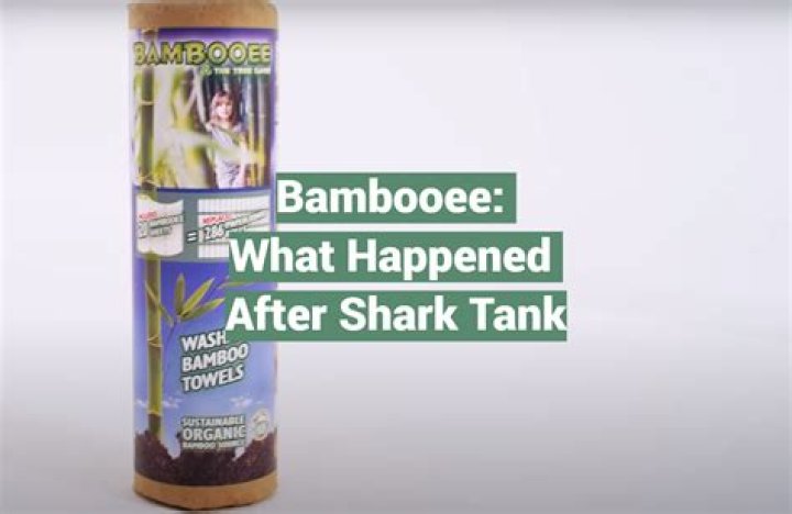 Bambooee Shark Tank Net Worth: The Success Story Behind the Eco-Friendly Brand