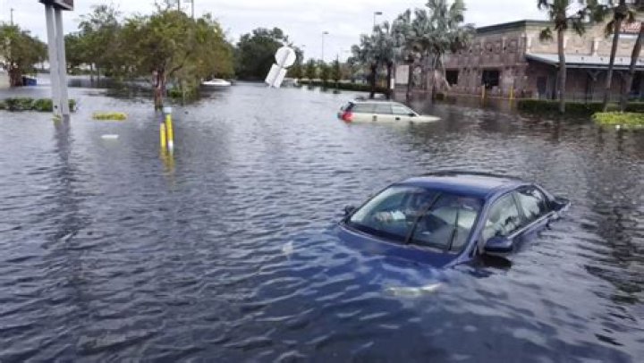 Brett Hampton Naples Florida: What Happened? Recent News & Updates