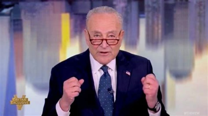 Chuck Schumer's Wife: Unveiling the Truth About Irina Roytburd Schumer