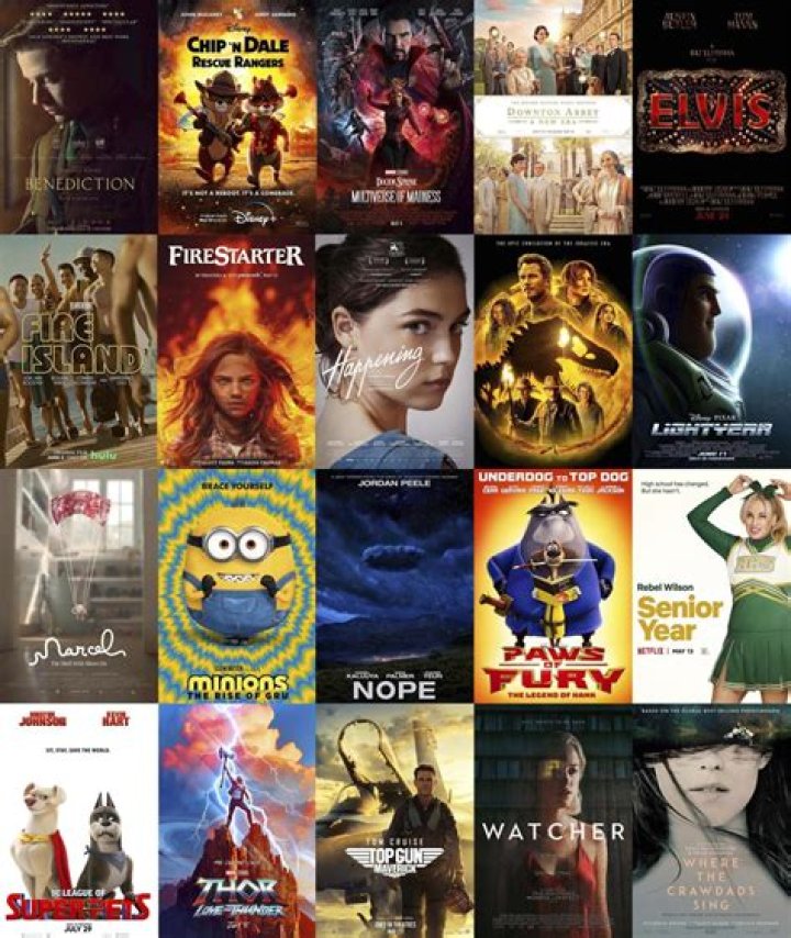 Dua Lipa Movies: Upcoming & Past Films