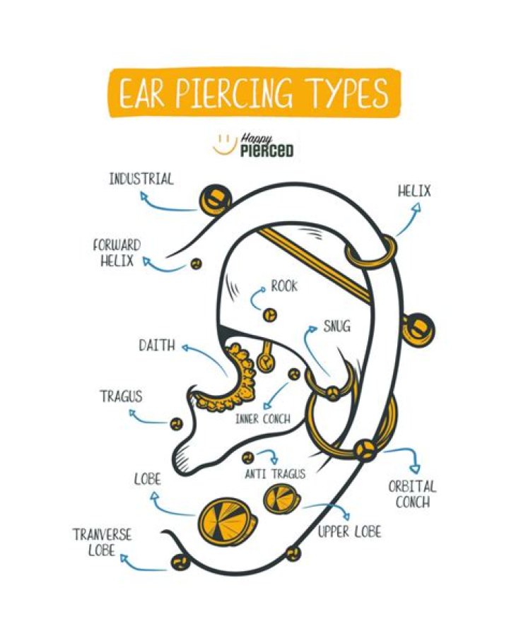 Ear Piercings and Their Names: A Comprehensive Guide to Modern Ear Piercing Styles