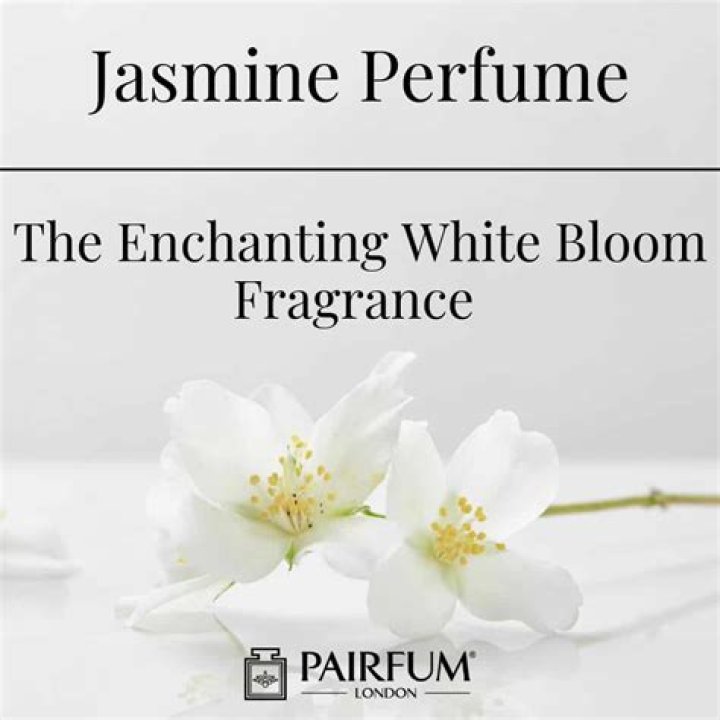 Enchanting Jasmine Sherni & Fae Love Story!