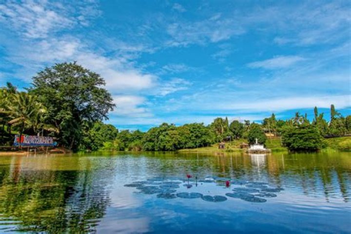 Escape to Tranquility: Discover the Charm of Barber Creek Getaway