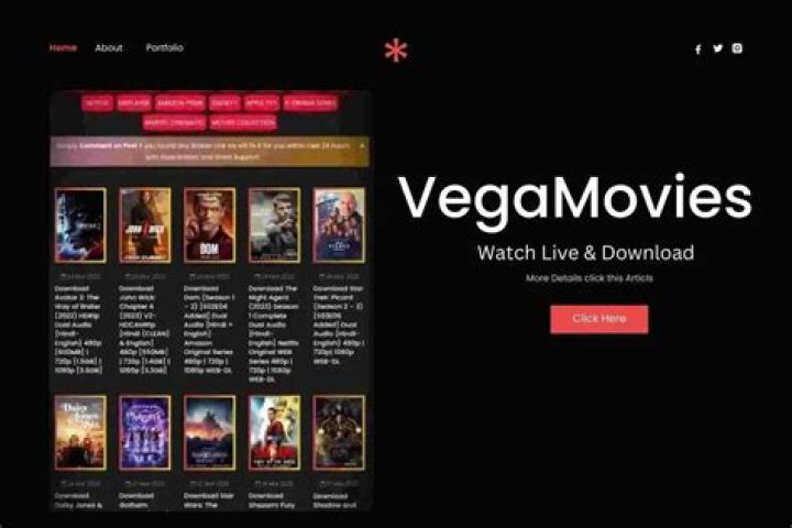 Everything You Need to Know About Vegamovies Website