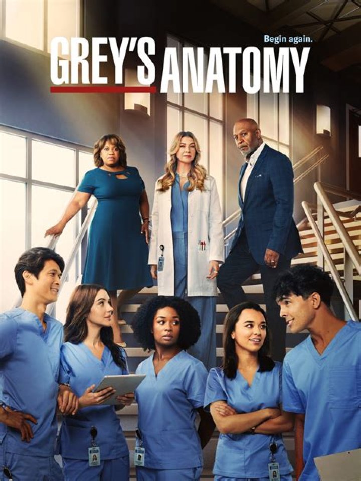 Exploring Izzie Stevens from Grey's Anatomy: A Comprehensive Insight