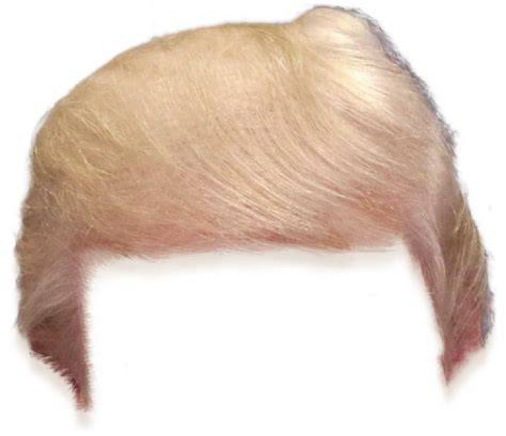 Exploring the Buzz Around Trump's New Haircut: A Fresh Perspective