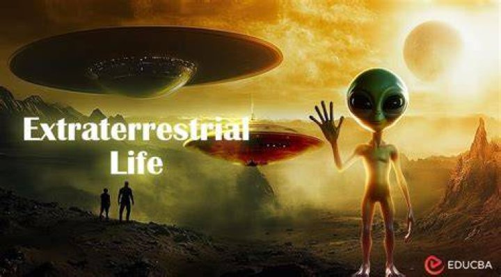 Exploring the Enigma of Aliens Rook: Unraveling the Mysteries of Extraterrestrial Life