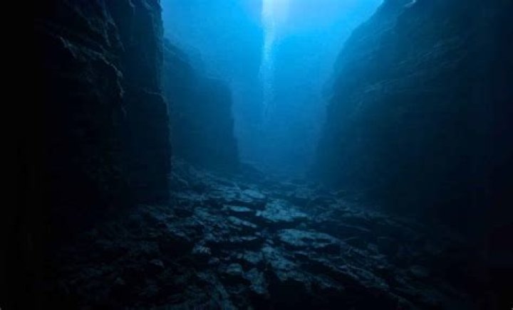 Exploring the Fascinating World of Chimoltrufia