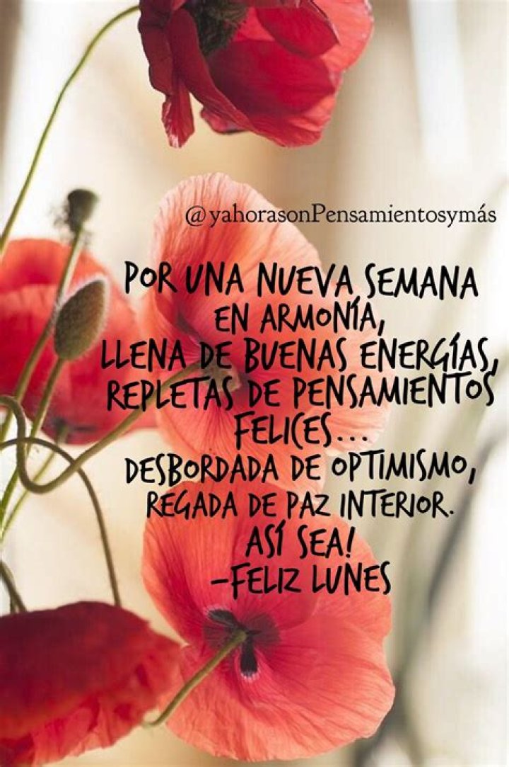 Feliz Inició de Semana: Embracing a Positive Start to Your Week