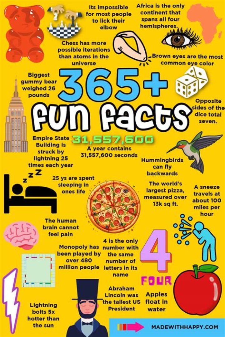 Fun Facts &amp; Trends: Fik Fip!