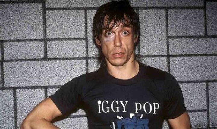 How Old is Iggy? A Comprehensive Guide to Understanding Iggy's Age and Background