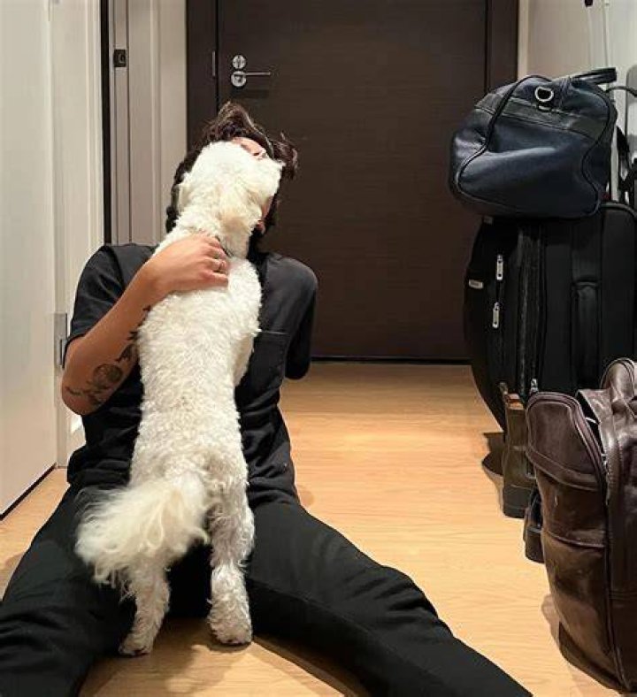 How Tall Is Rudy Mancuso? Everything You Need to Know About His Height and Life