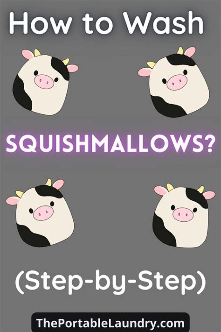 How to Wash Squishmallows: A Complete Guide for Keeping Them Clean and Fluffy