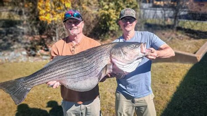 Inside the Phenomenon of the World Record Striper Company