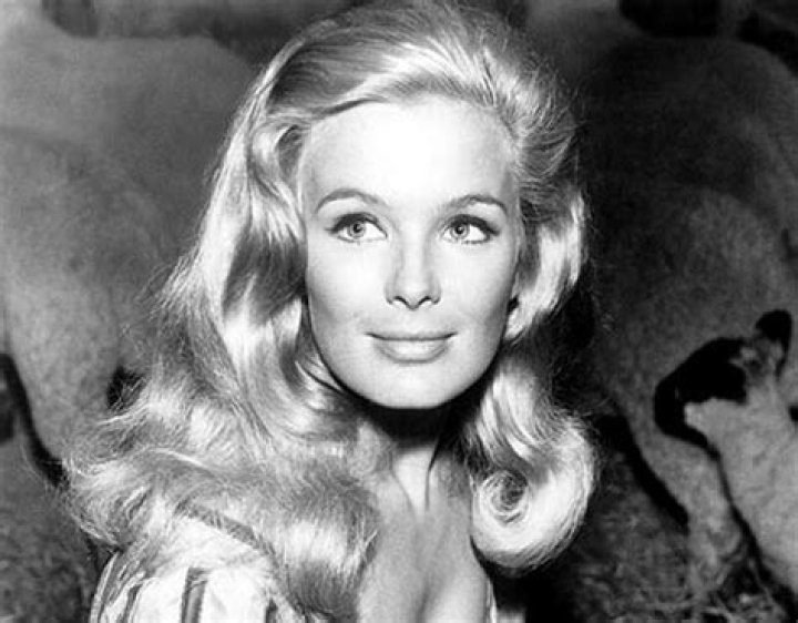 Linda Evans: The Iconic Journey of a Beloved Television Star