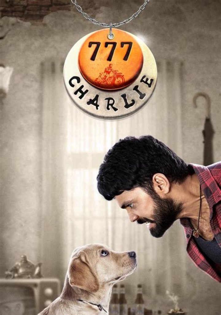 MovieRulz IBOMMA Charlie 777: Your Ultimate Guide to Streaming Movies Safely