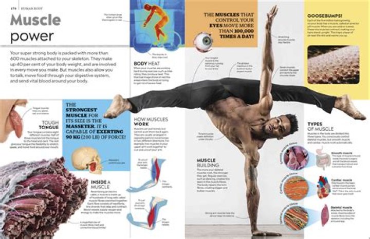 Pat McConaughey: The Ultimate Guide to the Fitness Guru and His Revolutionary Approach
