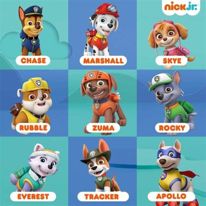 Paw Patrol Dog Names: A Guide to Choosing the Best Names for Your Favorite Pups