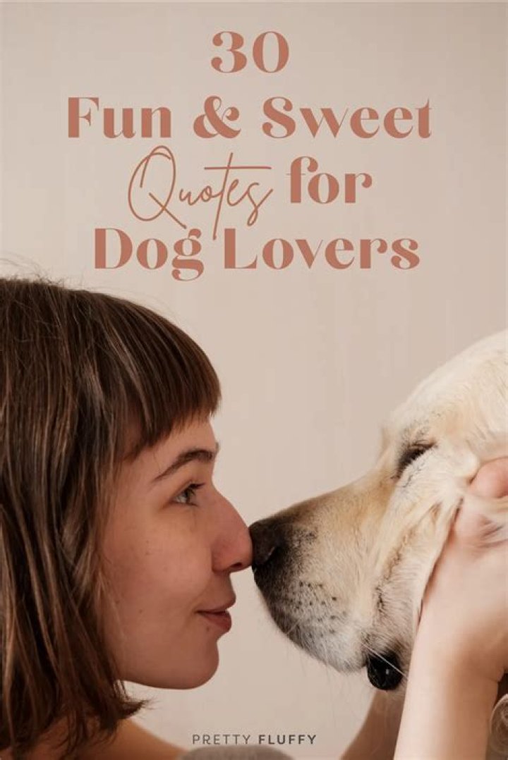 Puppy Images: A Heartwarming Collection for Dog Lovers