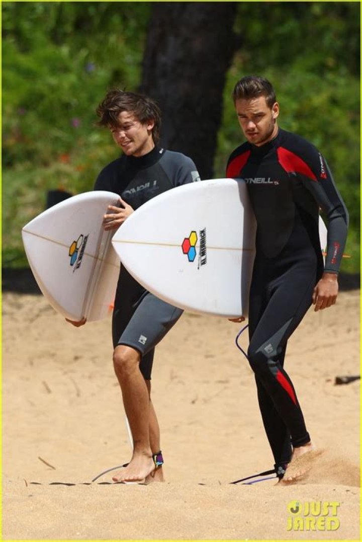 Riding Waves: The Surfing Adventures of Louis Tomlinson and Liam Payne