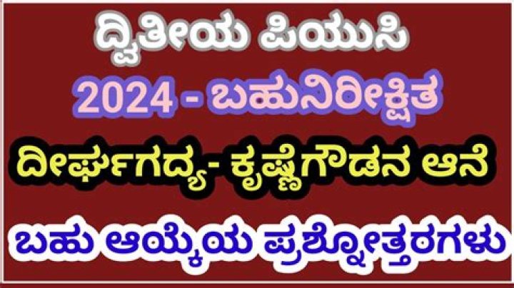 Rulz Kannada 2024: The Ultimate Guide to Understanding the Movement