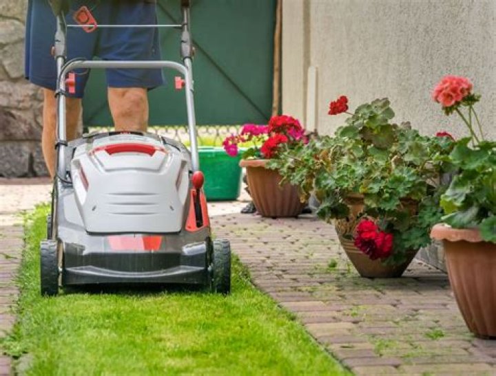 Shark Tank Eco Mower: Revolutionizing Sustainable Lawn Care