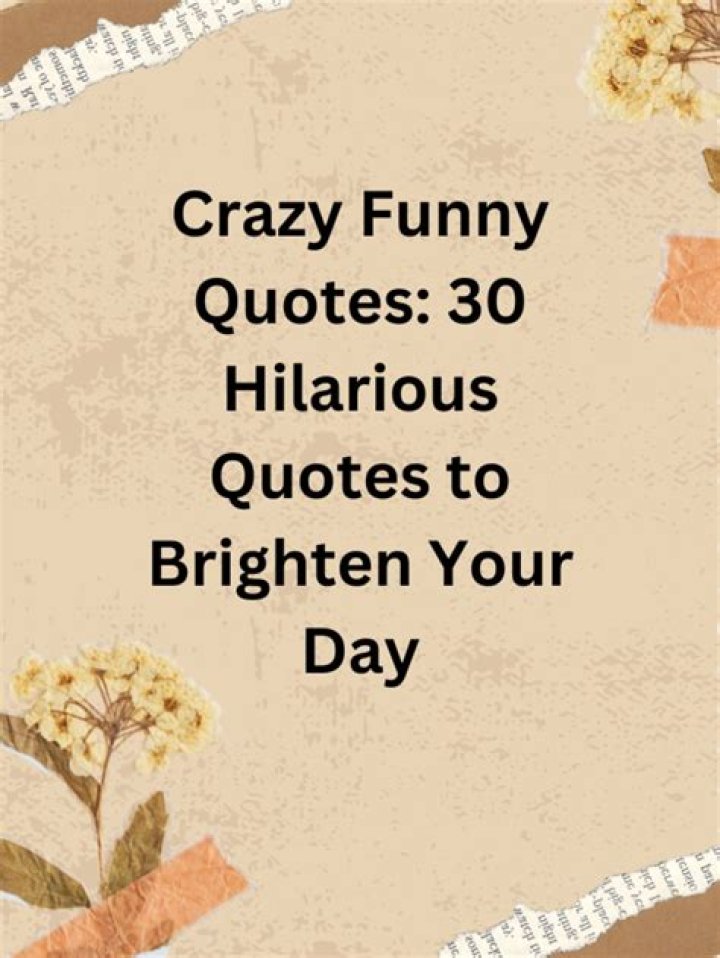 Small and Funny Quotes to Brighten Your Day
