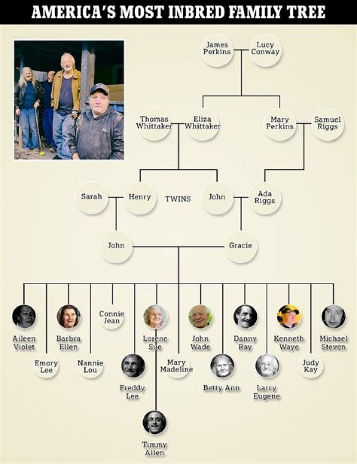 Uncovering the Whitaker Family Tree: Generations Revealed