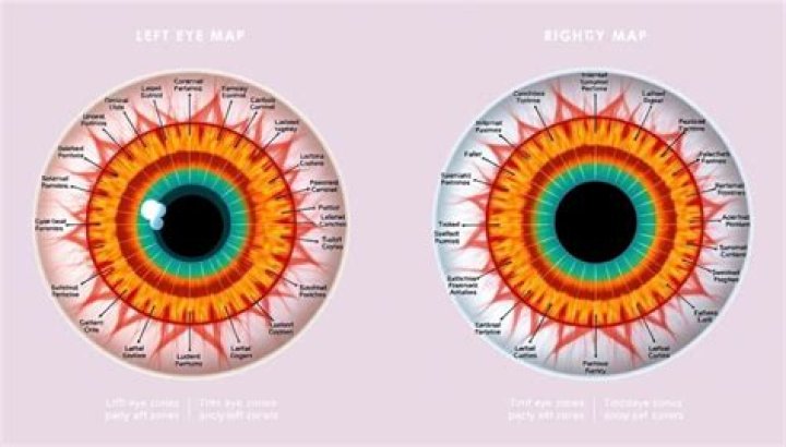 Understanding Left Eye Vision: Insights, Causes, and Solutions