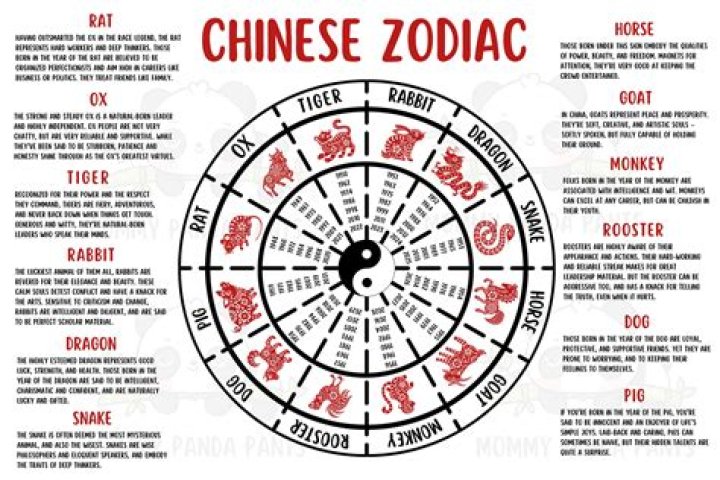 Unveiling the Mysteries of the 1991 Asian Zodiac: A Complete Guide