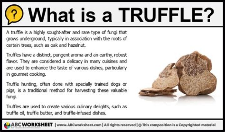 What is Truffle Shuffle? Exploring the Meaning Behind the Iconic Term