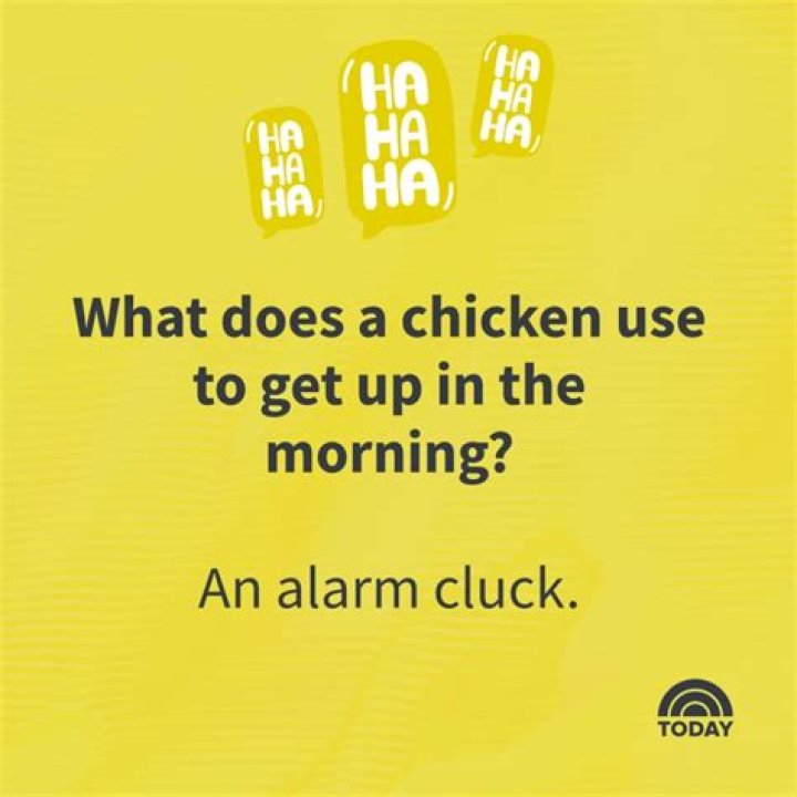 Why Chicken Jokes Are Clucking Hilarious: A Comprehensive Guide
