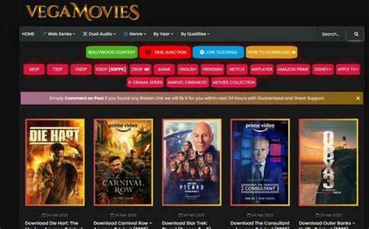 Why Vegamovies Guru Is Your Ultimate Streaming Companion
