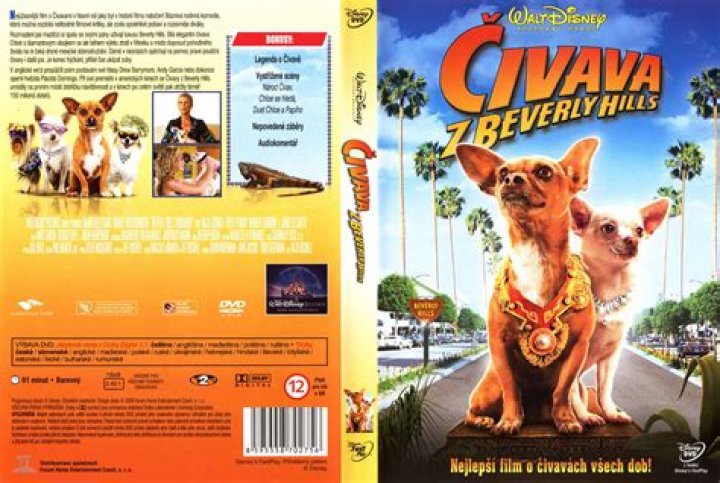 Will There Be a Beverly Hills Chihuahua 4? Discover the Latest Updates and Insights